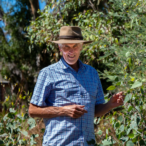 A fit and healthy older man wearing an Akubra hat and pale blue short-sleeved shirt stands among the foliage of a young eucalypt.